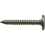 Screws SS304 T17 Wafer Flange Bugle Screw 14g X 50