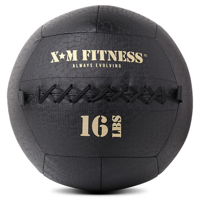 Treadmill Factory XM Wall Ball 16LB