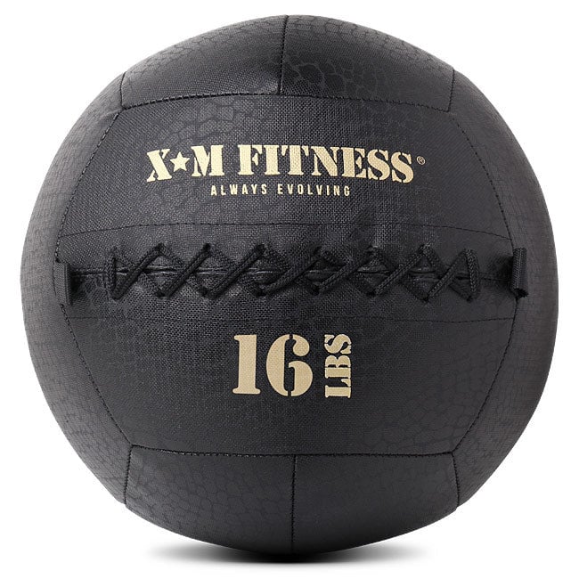 Treadmill Factory XM Wall Ball 16LB