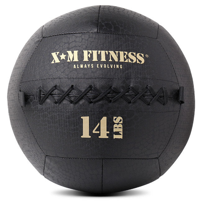 Treadmill Factory XM Wall Ball 14LB