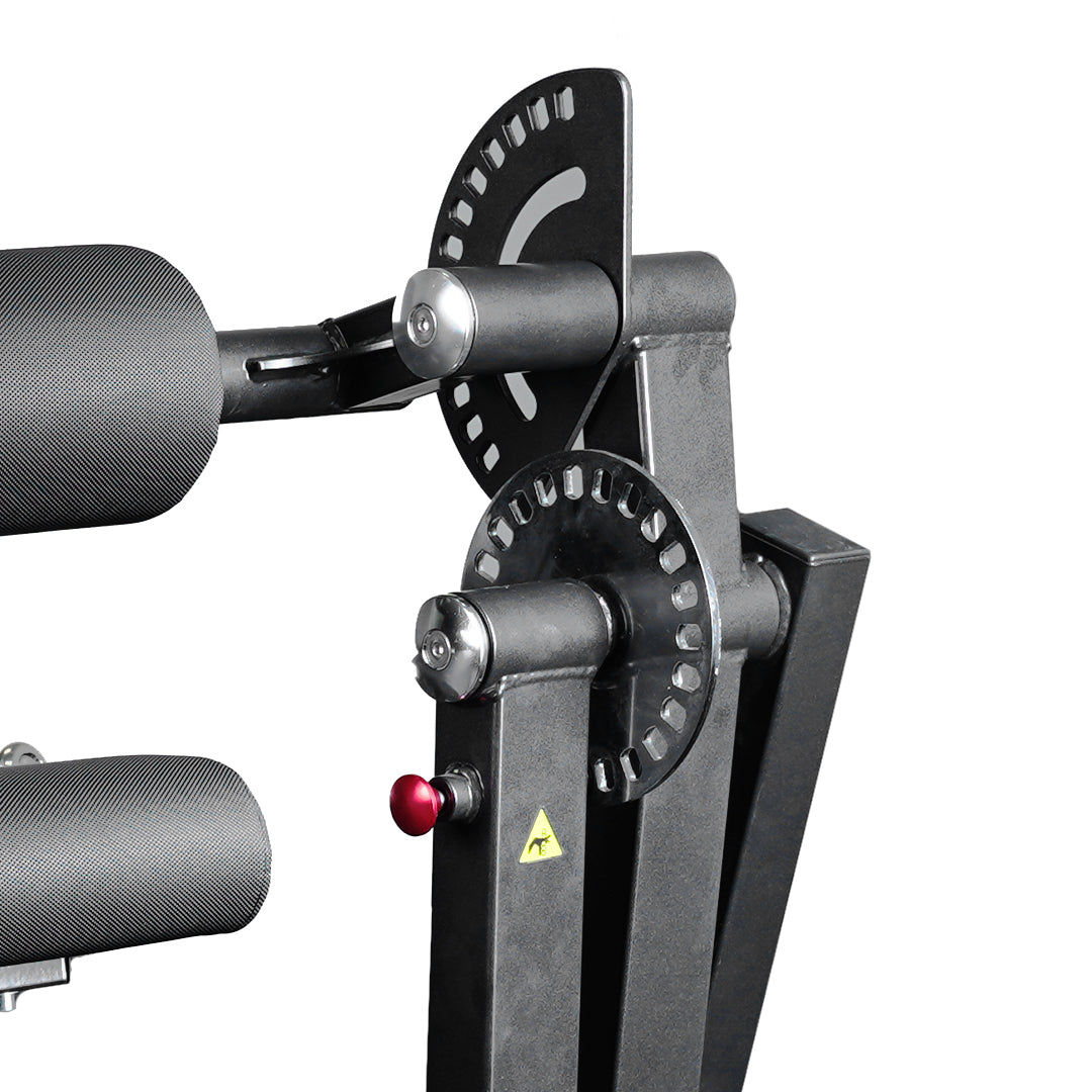 Treadmill Factory Ironax Leg Ext & Curl