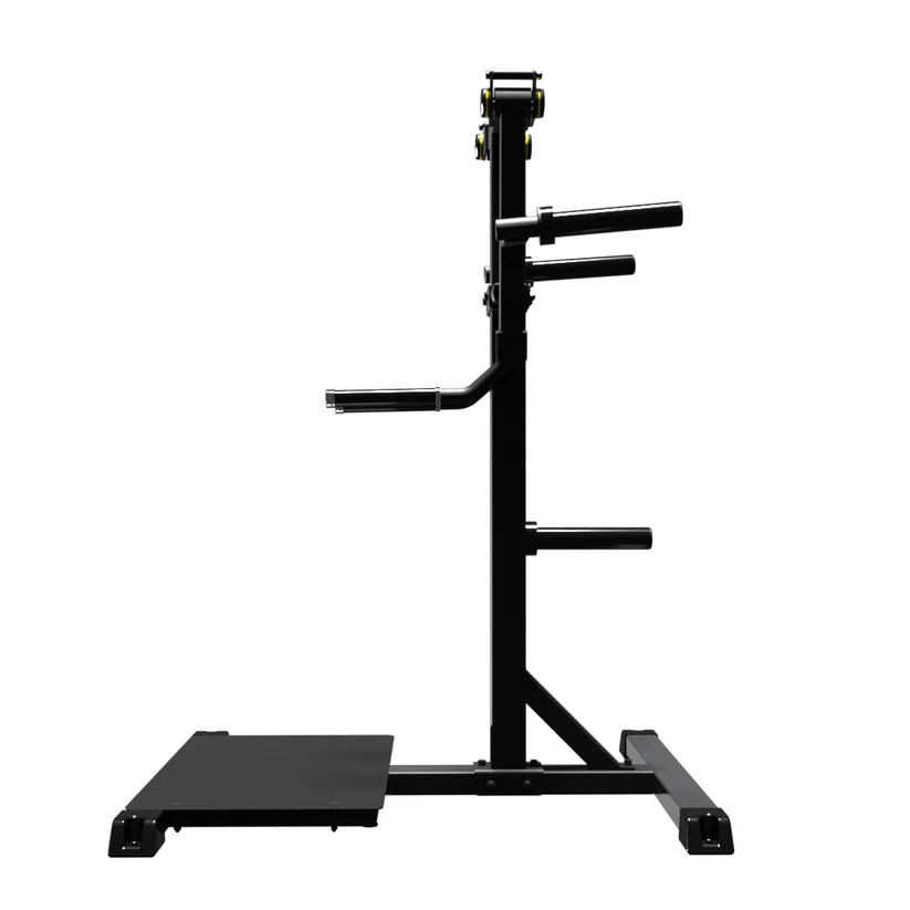 Treadmill Factory Ironax XC-SLR Standing Lateral Raise