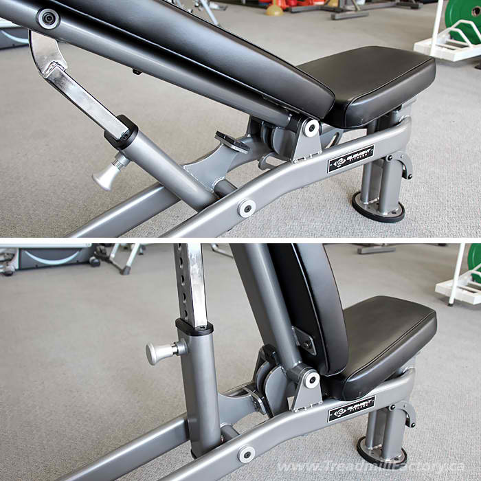 Treadmill Factory Element Fitness Adj Bench