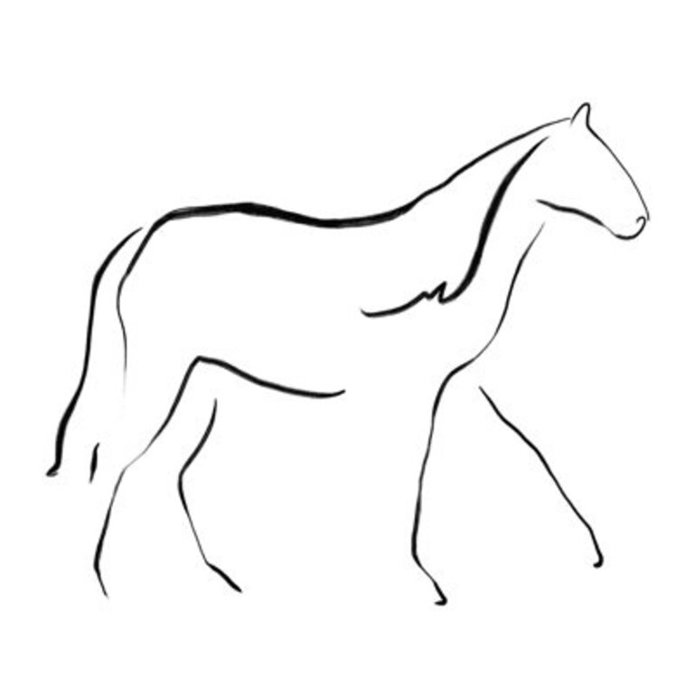 Line Drawing Horse