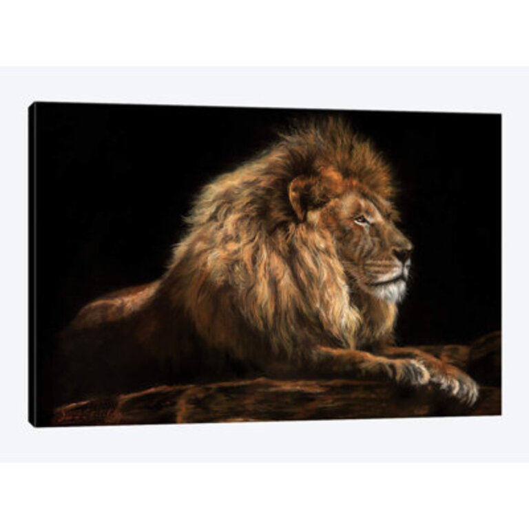 Golden Lion  by David Stribbling