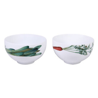 Noritake Kyoka Shunsai Bowls 5 21 OZ