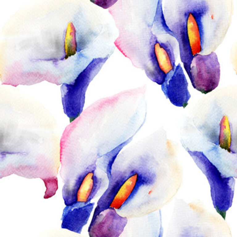 Belclaire  Calla Lily  by Ateli Painting Print