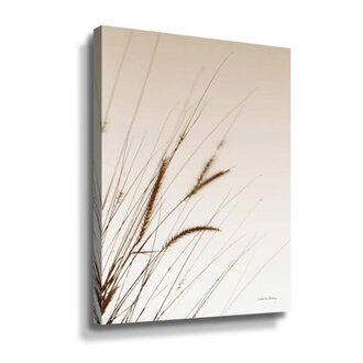 Field Grasses I Sepia