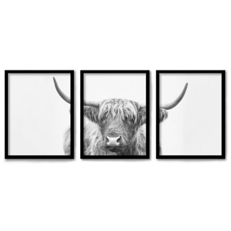 Highland Bull Horns  3 - Pieces