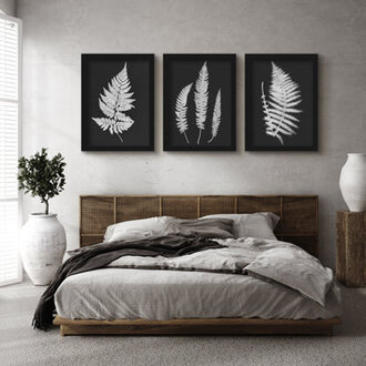 Black And White Botanicals By Chaos  Wonder Design - 3 Piece Gallery Framed Print Art Set  3 - Pieces