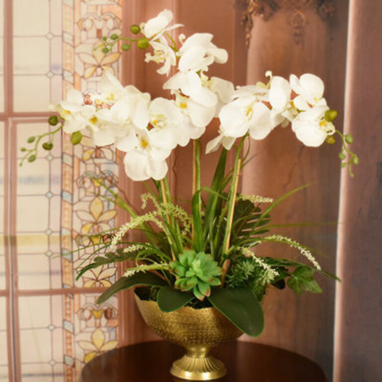 Phalaenopsis Orchids In Gold Bowl