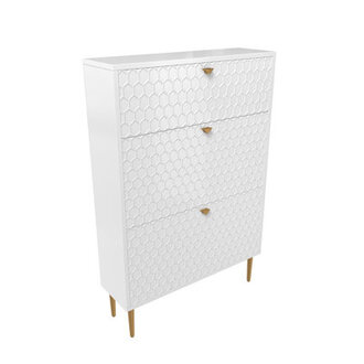 24 Pair Shoe Storage Cabinet