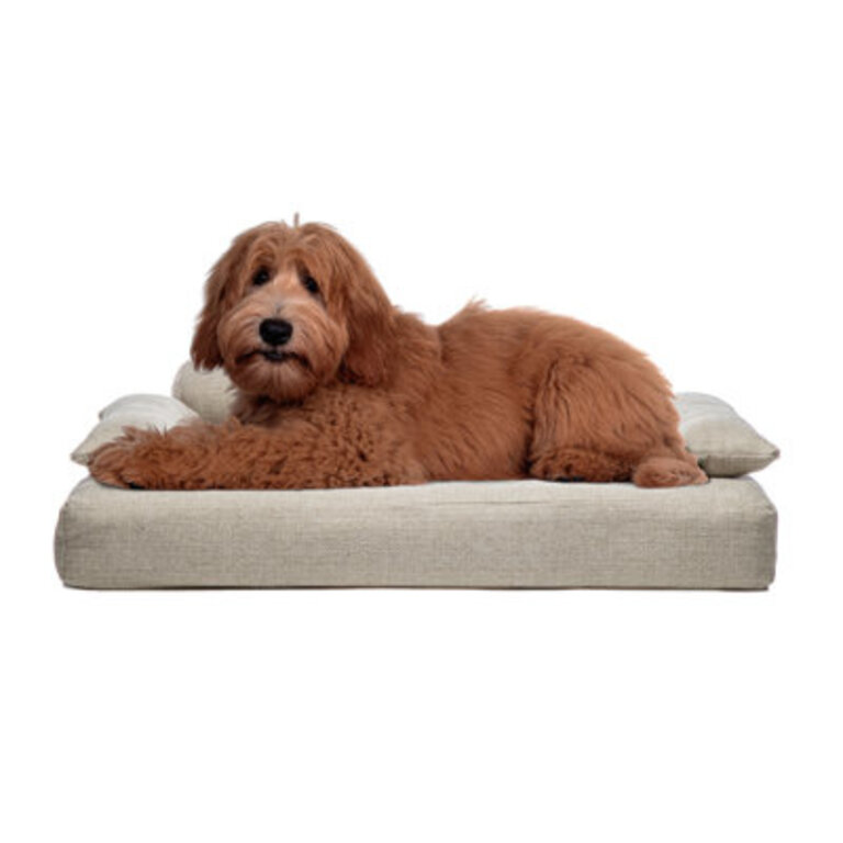 Kevin Kacy Allure Dog Pillow