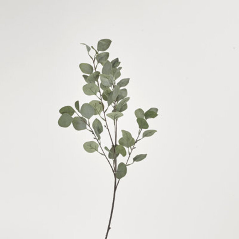 36 Faux Silver Dollar Eucalyptus Branch