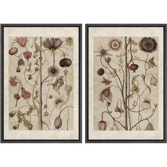 Abstract Botanical Classic Wildflower Floral Nature Plant Framed Canvas 2 Pieces Print Wall Art