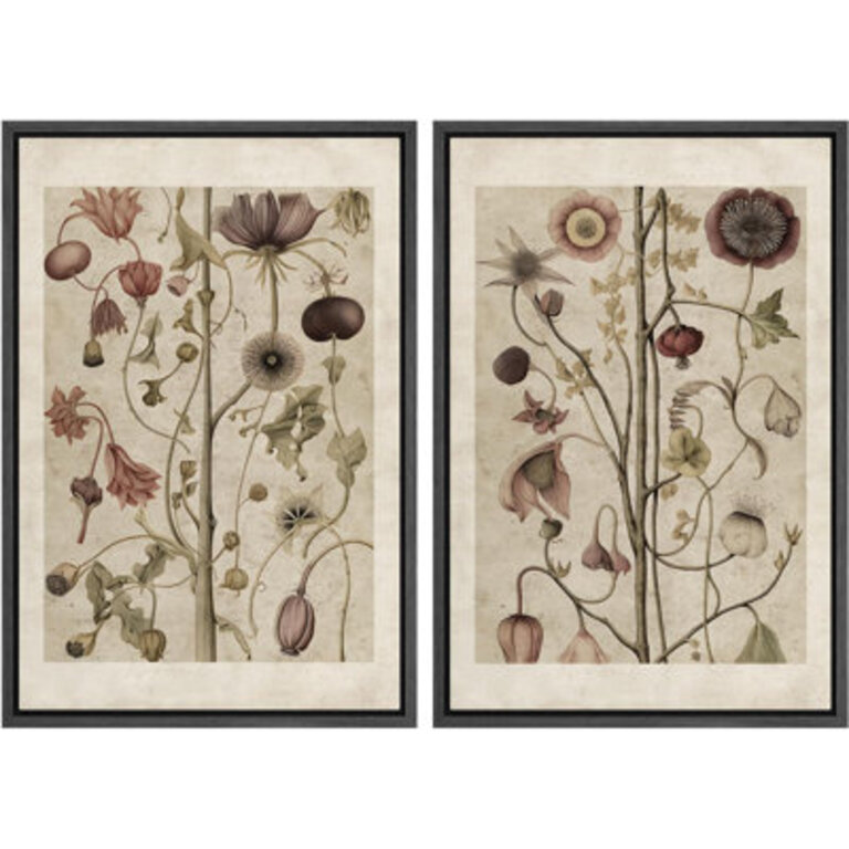 Abstract Botanical Classic Wildflower Floral Nature Plant Framed Canvas 2 Pieces Print Wall Art