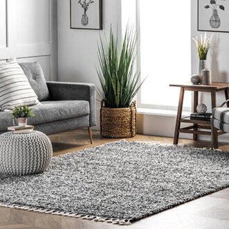 Kinard Shag Tasseled Power Loom Performance Grey Rug