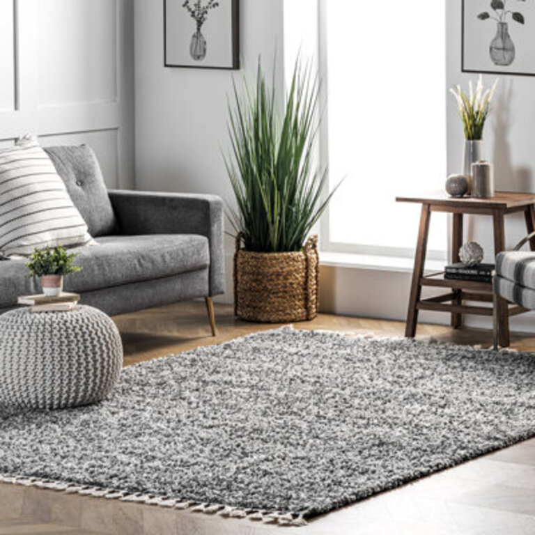 Kinard Shag Tasseled Power Loom Performance Grey Rug