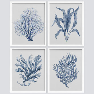 Navy Blue Marine Coral Leaves Floral Botanical Plant Watercolor Minimalism Coastal Modern Art Decor  4 - Pieces