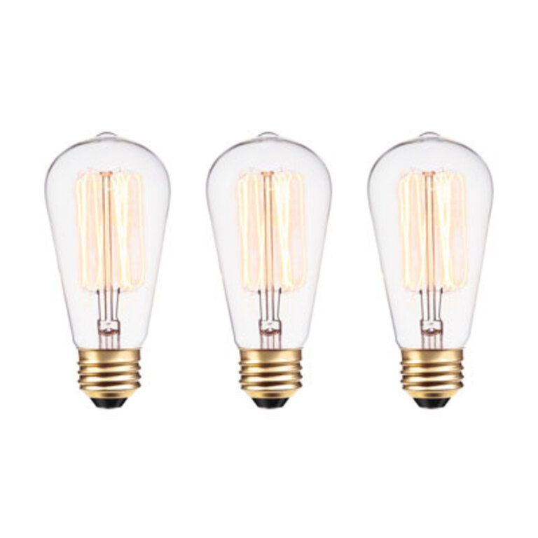 Lyle 60 Watt ST19 Incandescent Dimmable Light Bulb Warm White 2200K E26Medium Standard Base
