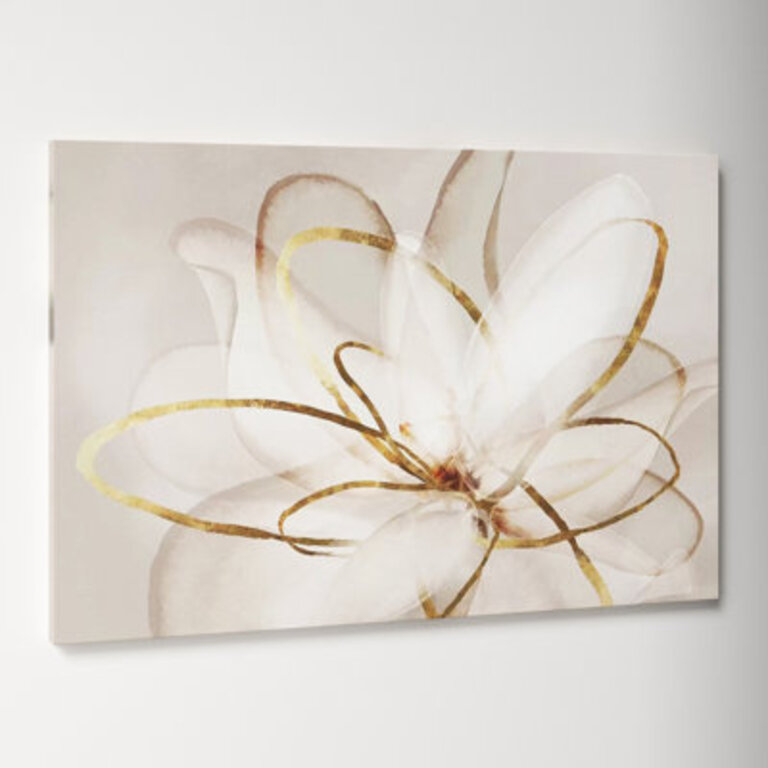 Transparent Beauty III  by Eva Watts