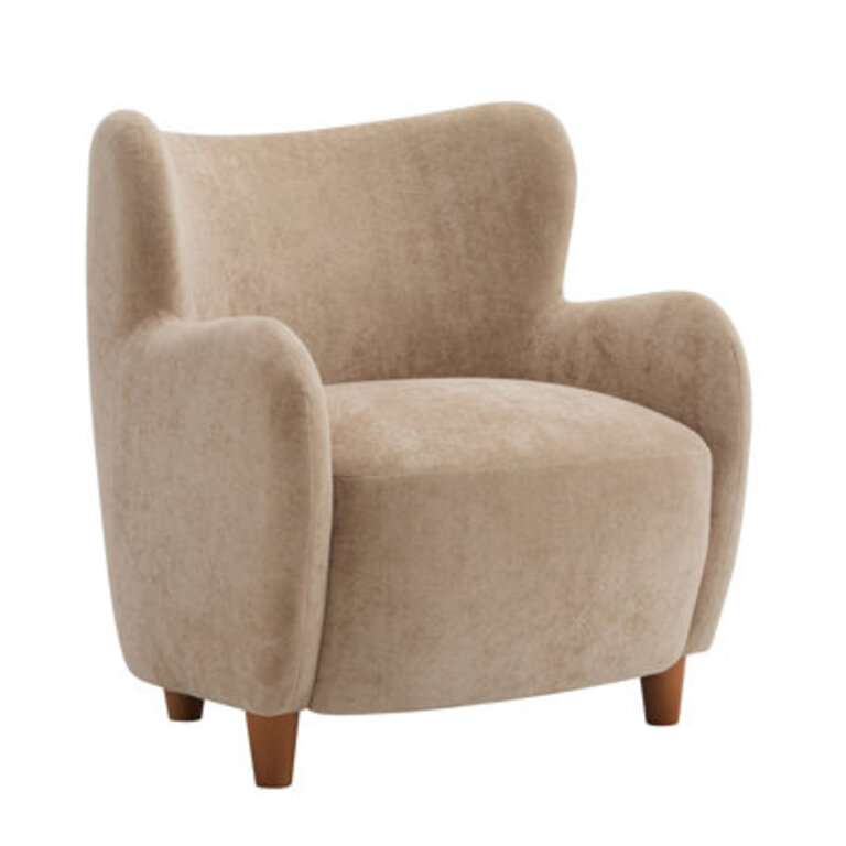 Reshami Wing Back Fabric Upholstered Accent Chair