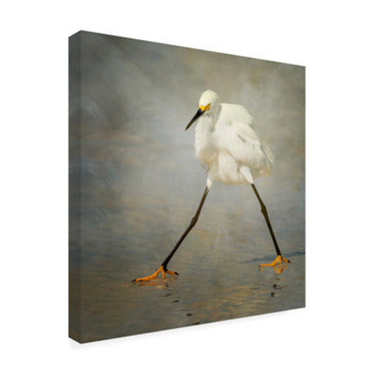 Modern  Contemporary