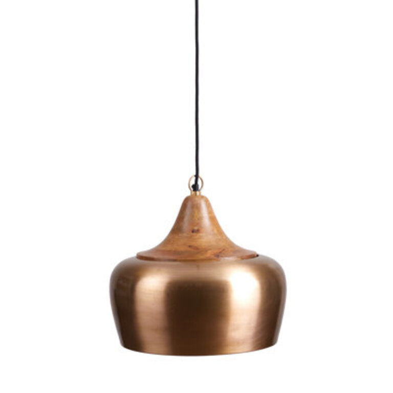 Salem 1 - Light Single Dome Pendant with Wood Accents