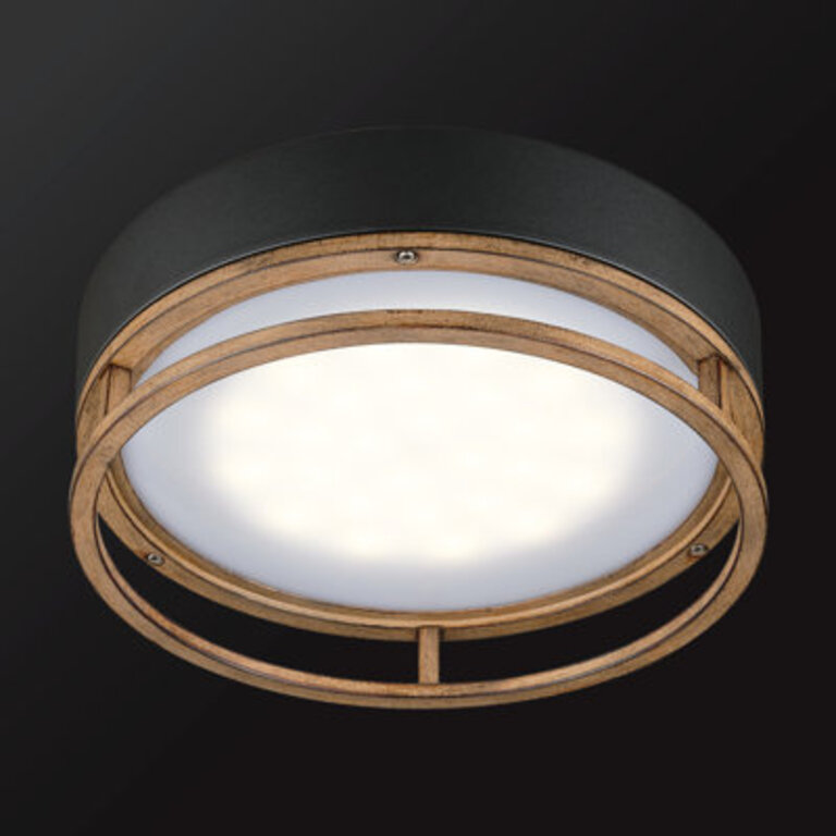 Ray 1-Light 118 LED Flush Mount