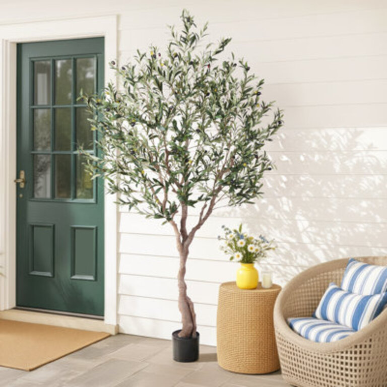 Adcock 84 H Floor Olive Tree in Pot