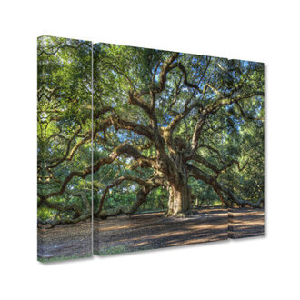 Angel Oak Charleston  3 - Pieces