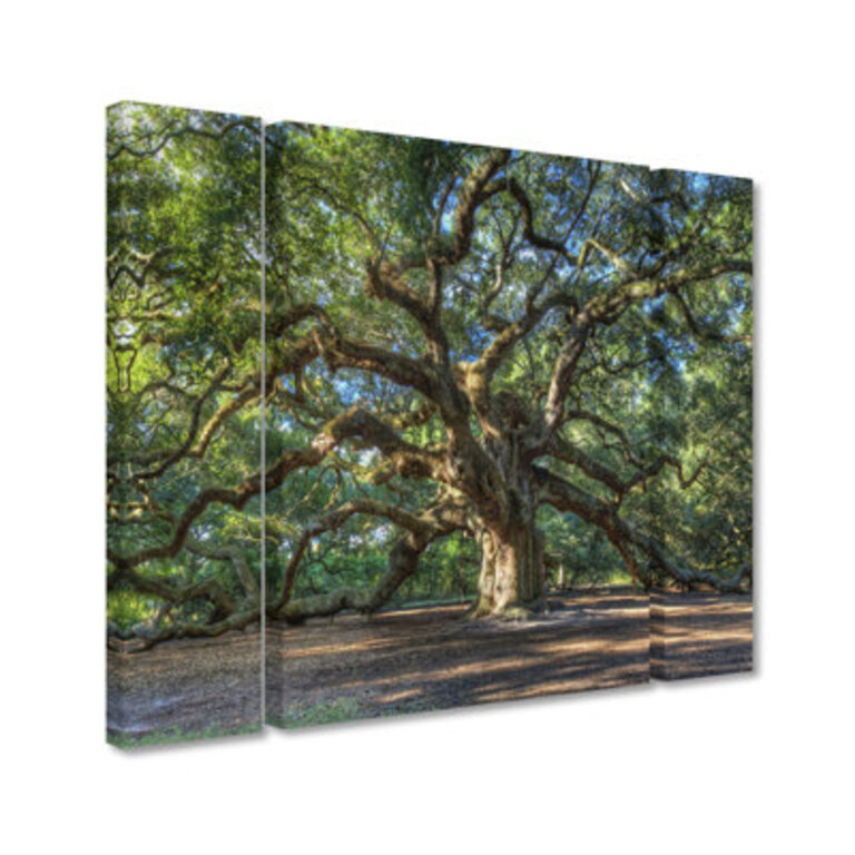 Angel Oak Charleston  3 - Pieces