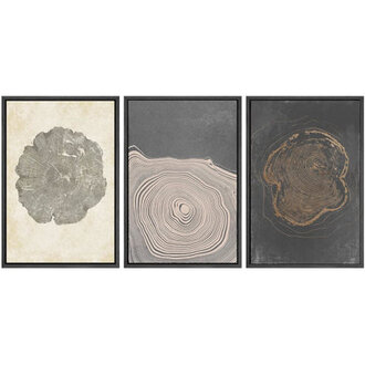 Tree Ring Beige Grey Wood Stump Artwork Modern Organic Neutral Minimalist Wall Pictures Framed Canvas Giclee Print 3 Pieces Wall Art 16x24x3 pcs 24x36x3 pcs