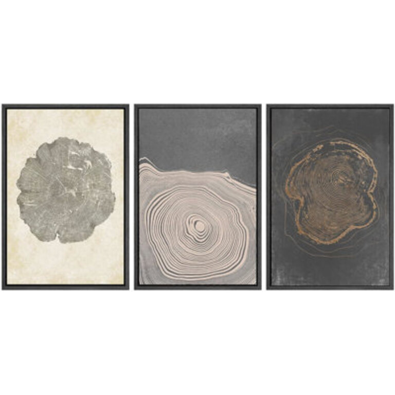 Tree Ring Beige Grey Wood Stump Artwork Modern Organic Neutral Minimalist Wall Pictures Framed Canvas Giclee Print 3 Pieces Wall Art 16x24x3 pcs 24x36x3 pcs