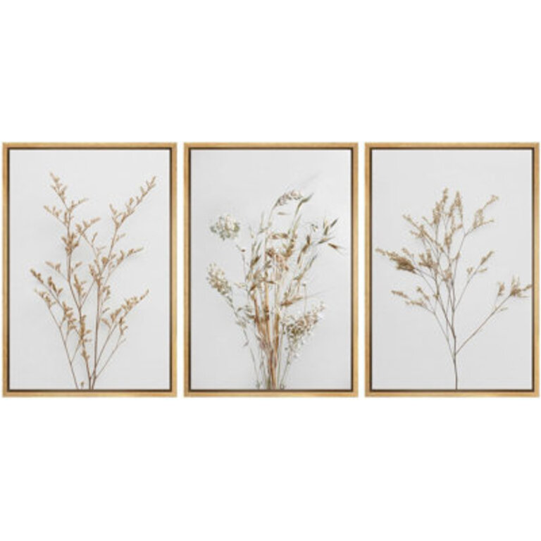 Minimal Botanical Neutral Wildflowers Floral Artwork Simple Organic Modern Wall Pictures Large Framed Canvas Giclee Print 3 Pieces Wall Art Set   16x24x3 pcs 24x36x3 pcs