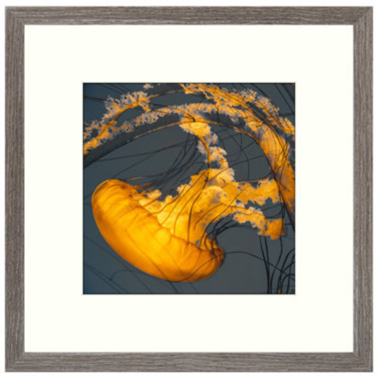 Nickolas Picture Frame with Mat