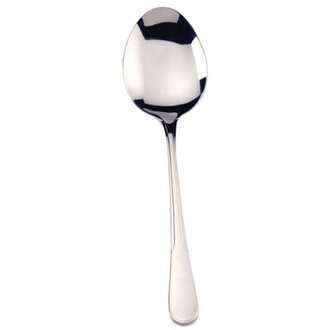 Sevon Stainless Steel Serving Spoon