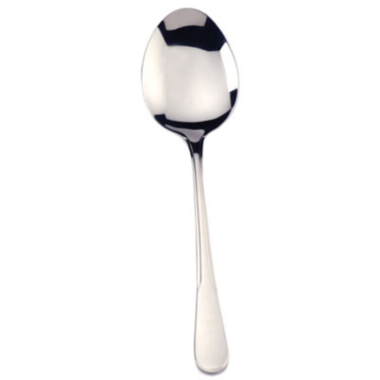 Sevon Stainless Steel Serving Spoon