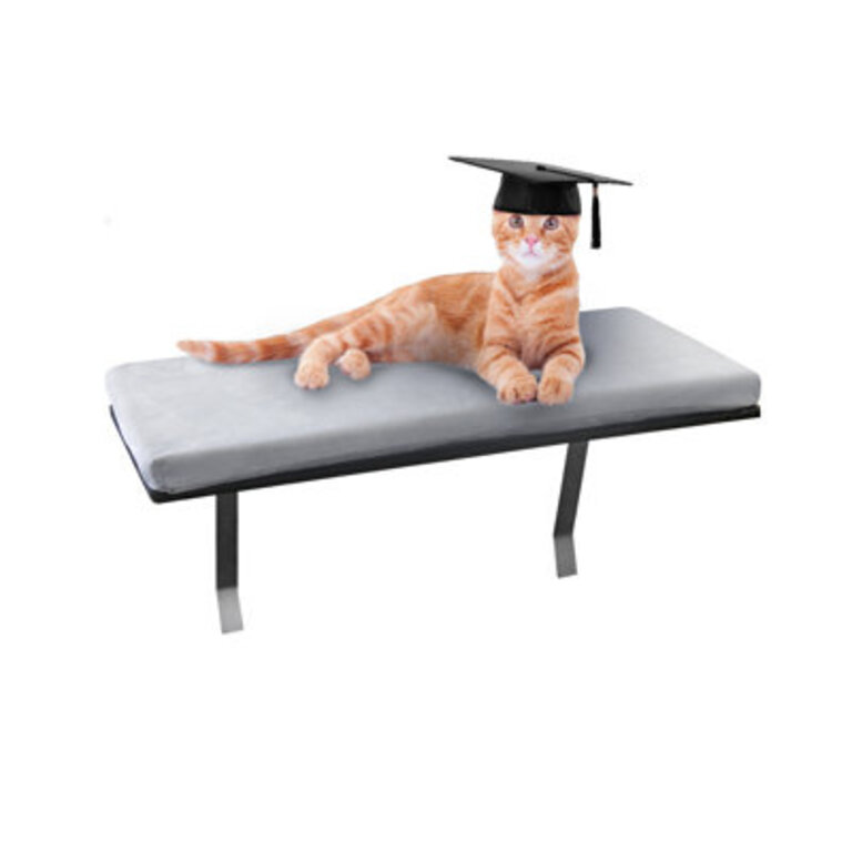 Becerra Cat Perch