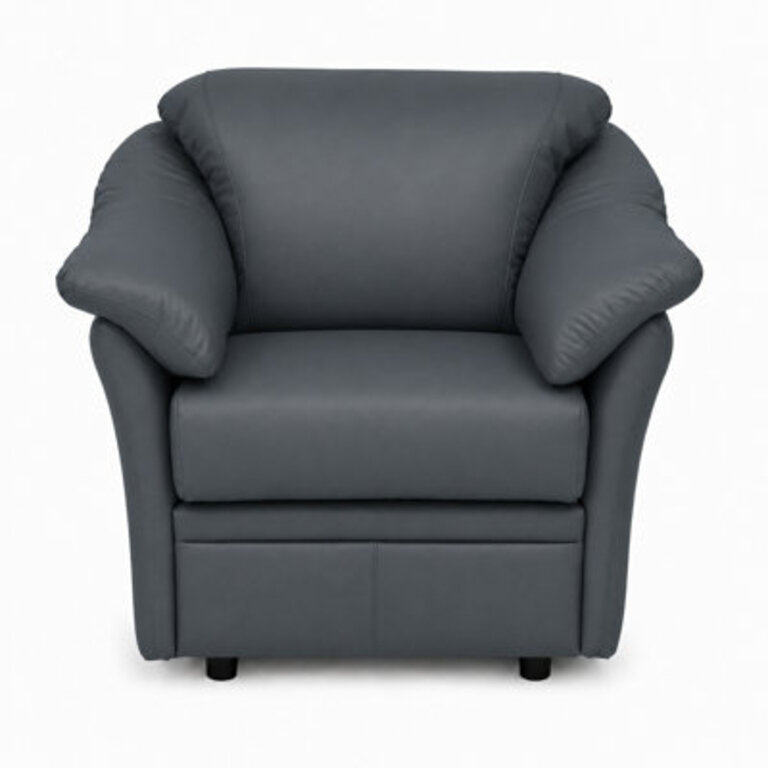 Ramdev Top Grain Leather Chair with Cushioned Back and Pillow Top Arm