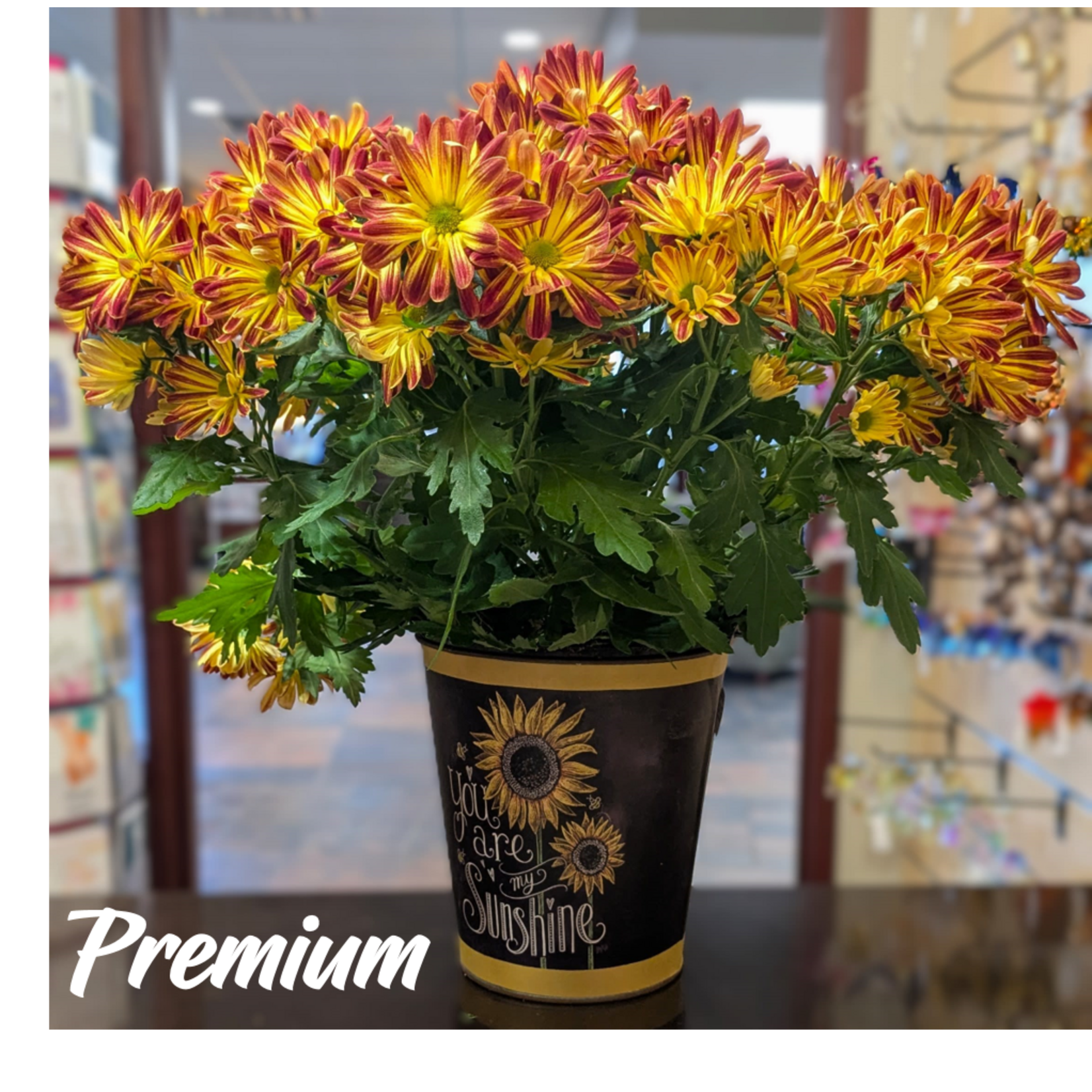 The Flower Shack The Flower Shack Live Plants