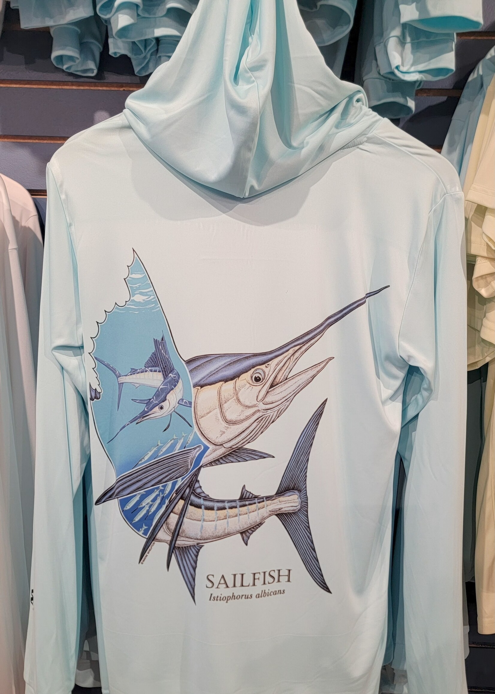 Briney Deep BD Sailfish L/S Hoodie Aqua