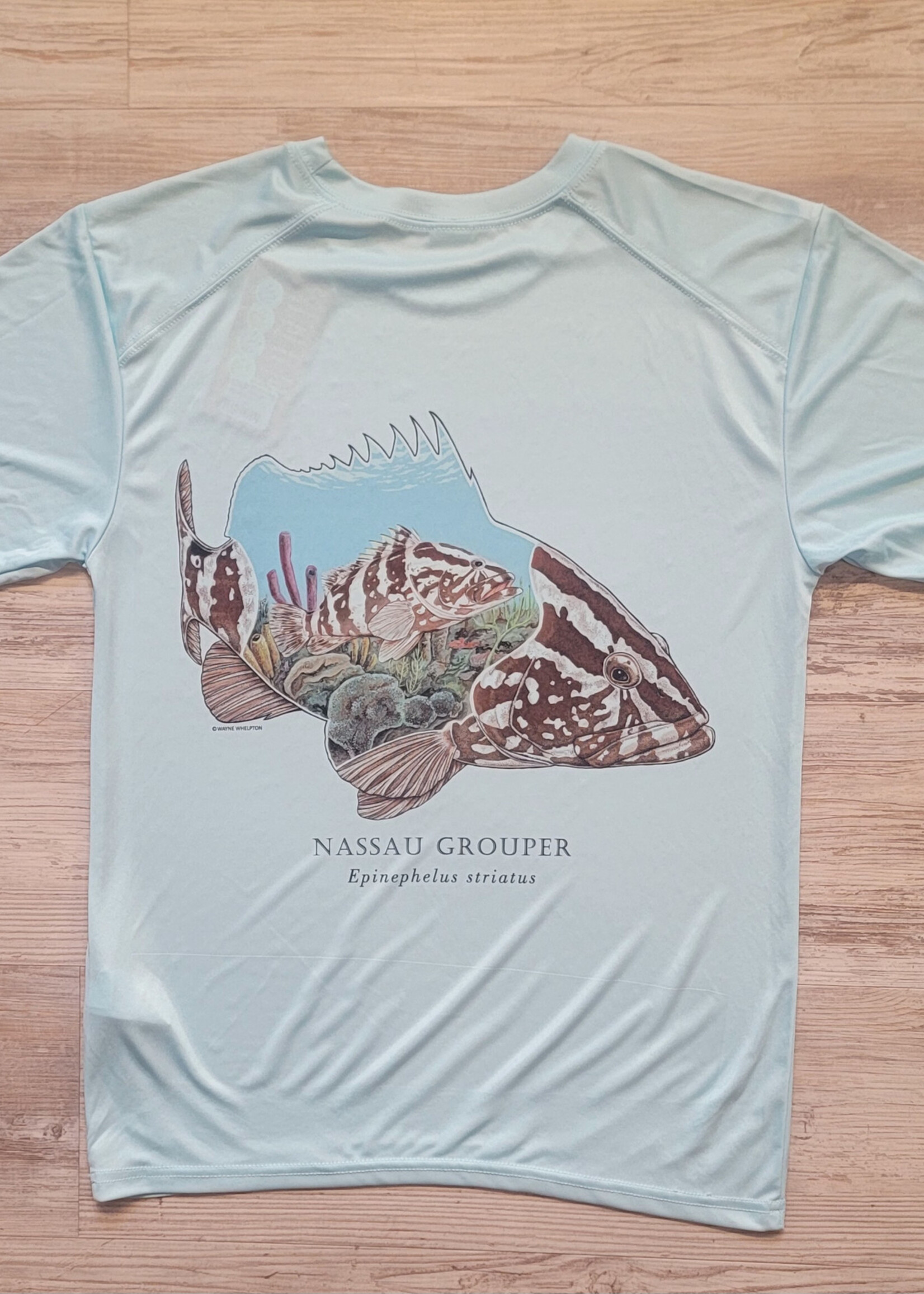 Briney Deep BD Nassue Grouper S/S Perform Aqua