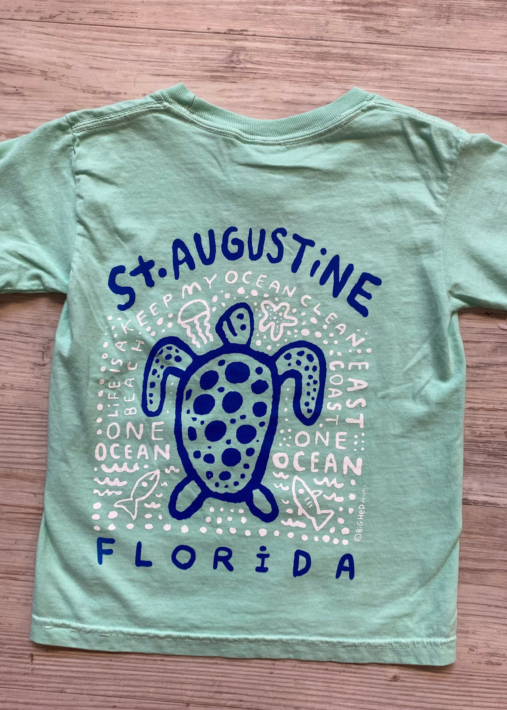 Comfort Colors BH Youth Shaky Turtle S/S Island Reef