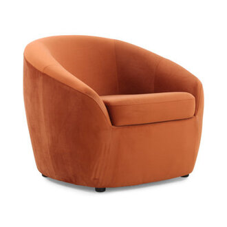 Stargazer Upholstered Barrel Chair