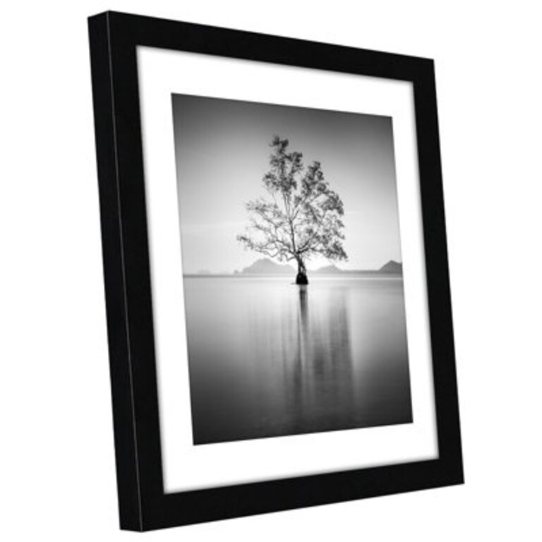Damaine Picture Frame with Mat - Engineered Wood and Shatter-Resistant Glass