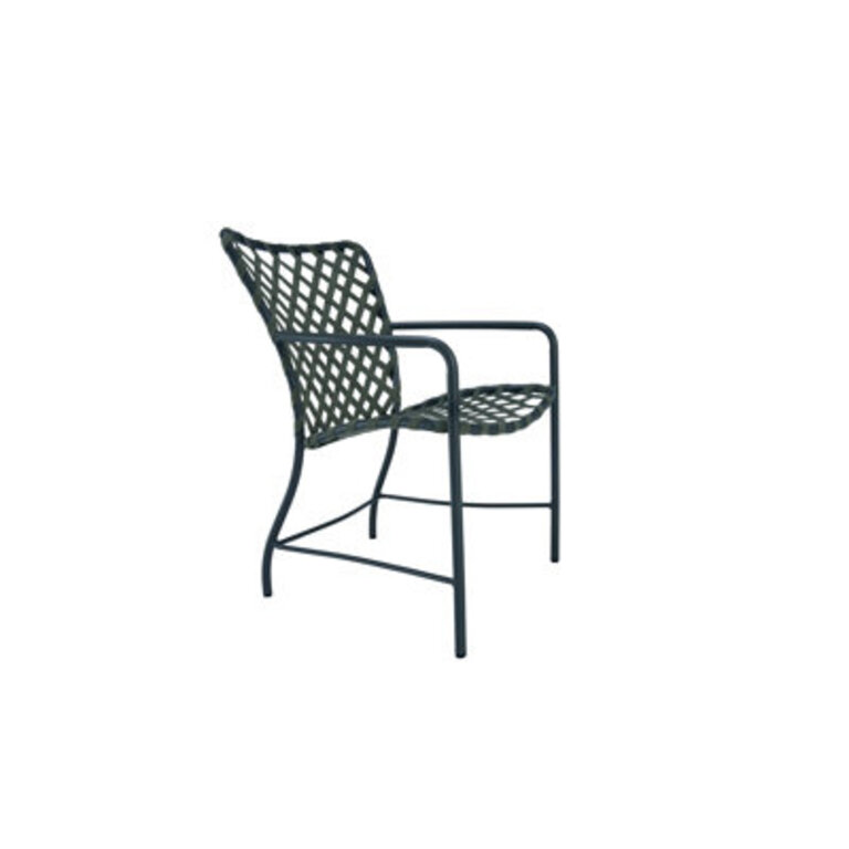 Tamiami Arm Chair
