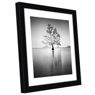 Damaine Picture Frame with Mat - Engineered Wood and Shatter-Resistant Glass