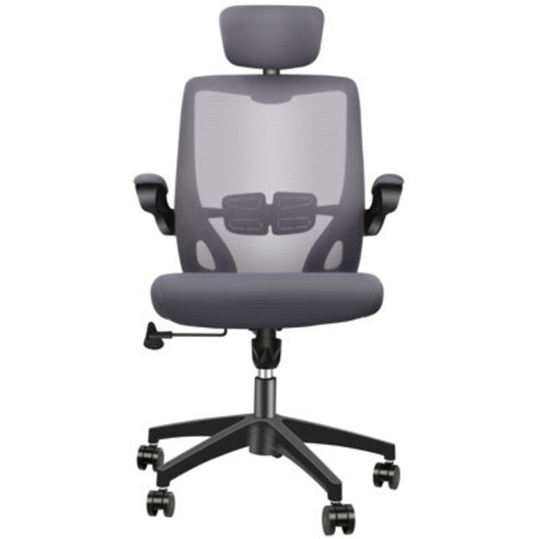 Task Chair with Headrest