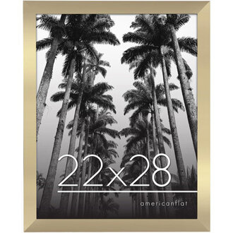 Signature Poster Frame Composite Wood and Plexiglass Cover Hanging Hardware included